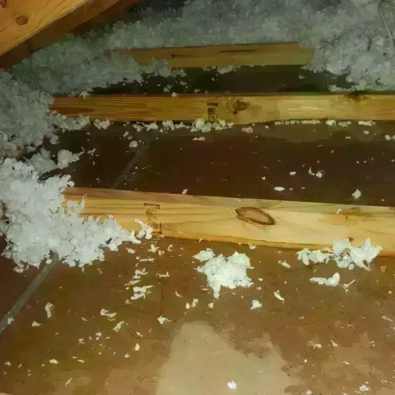 Attic Water Damage in Cameron, TX