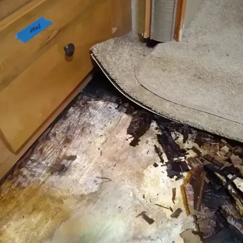 Wood Floor Water Damage in Cameron, TX